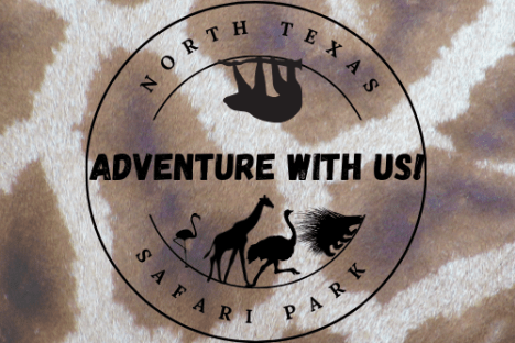 Safari park logo with animals and 'Adventure With Us' text on animal print background.