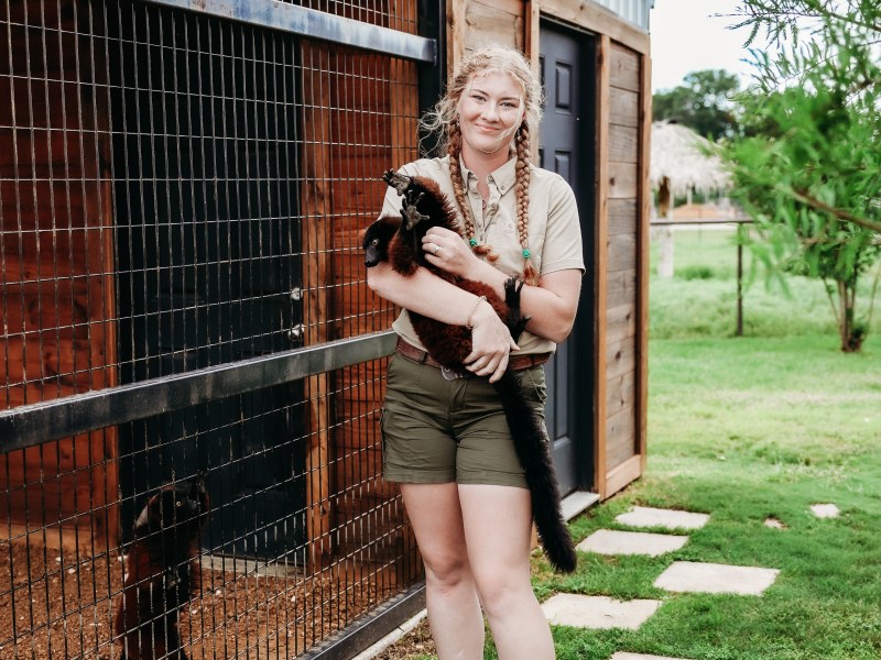 Person holding a black lemur near an animal enclosure outdoors.